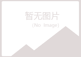 甘肃紫山化学有限公司